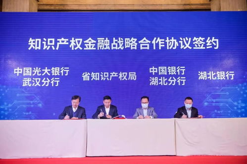 2022年首場湖北省專利技術(shù)供需對接會在漢成功舉辦 技術(shù)推廣服務(wù)再升級