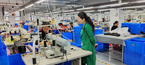 藍山委員提案助推產業大發展，央廣網聚焦社會經濟咨詢服務