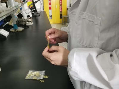 打破“新材料之王”回收困局，鹽城工學院團隊研發(fā)“可重生”綠色CFRP生物基材料技術