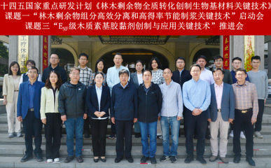 林木剩余物全質轉化創制生物基材料關鍵技術研發項目啟動，助力綠色低碳產業鏈升級